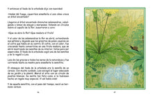 Cargar imagen en el visor de la galería, Cuentos del mundo: Una Travesía Mágica a lo Largo de las Estaciones