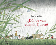 Cargar imagen en el visor de la galería, ▷ ¿Dónde van cuando llueve? Cuento Infantil. Ciencias Naturales - Papalote Tienda de literatura infantil.