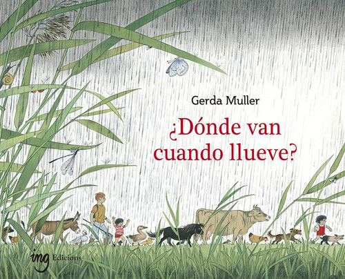 ▷ ¿Dónde van cuando llueve? Cuento Infantil. Ciencias Naturales - Papalote Tienda de literatura infantil.